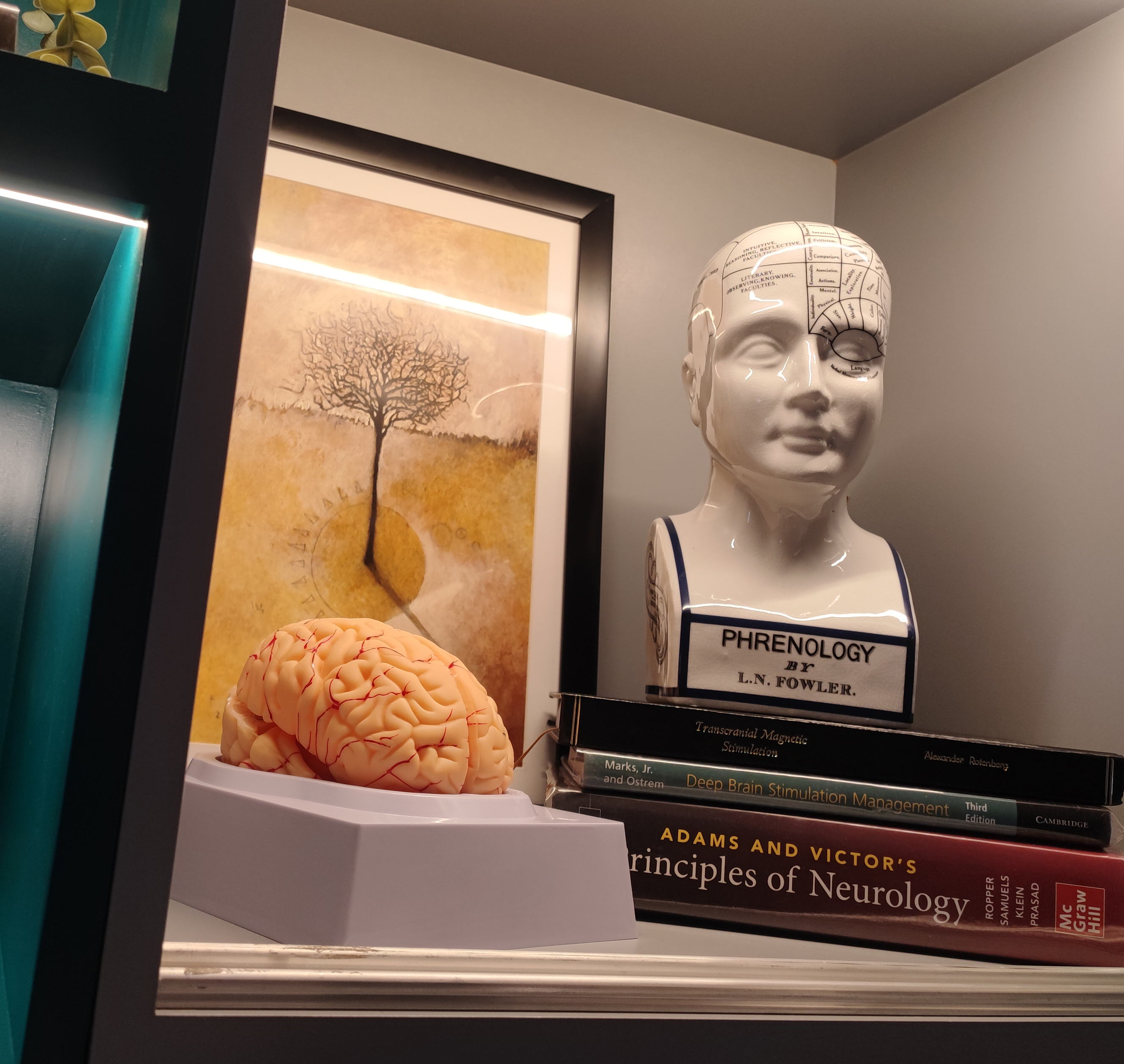 doctor, salud, Eduardo Argüelles González, Parkinson, CDMX, México, movimiento, neurólogo, internista, enfermedades neurodegenerativas