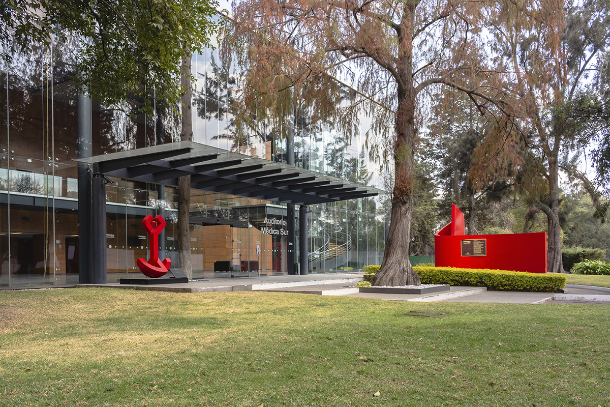 medicina internacional, atención médica, pacientes extranjeros, neurología